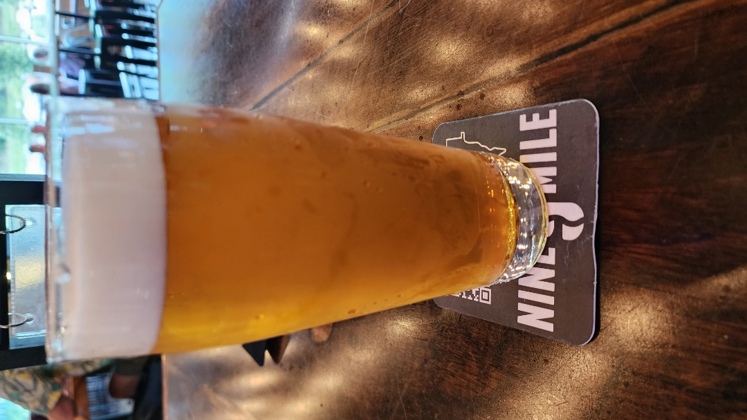 Nine Mile Time 4 Recess