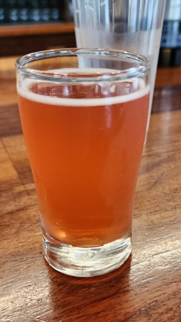 Venn Brewing Cosmosis Pacific Punch